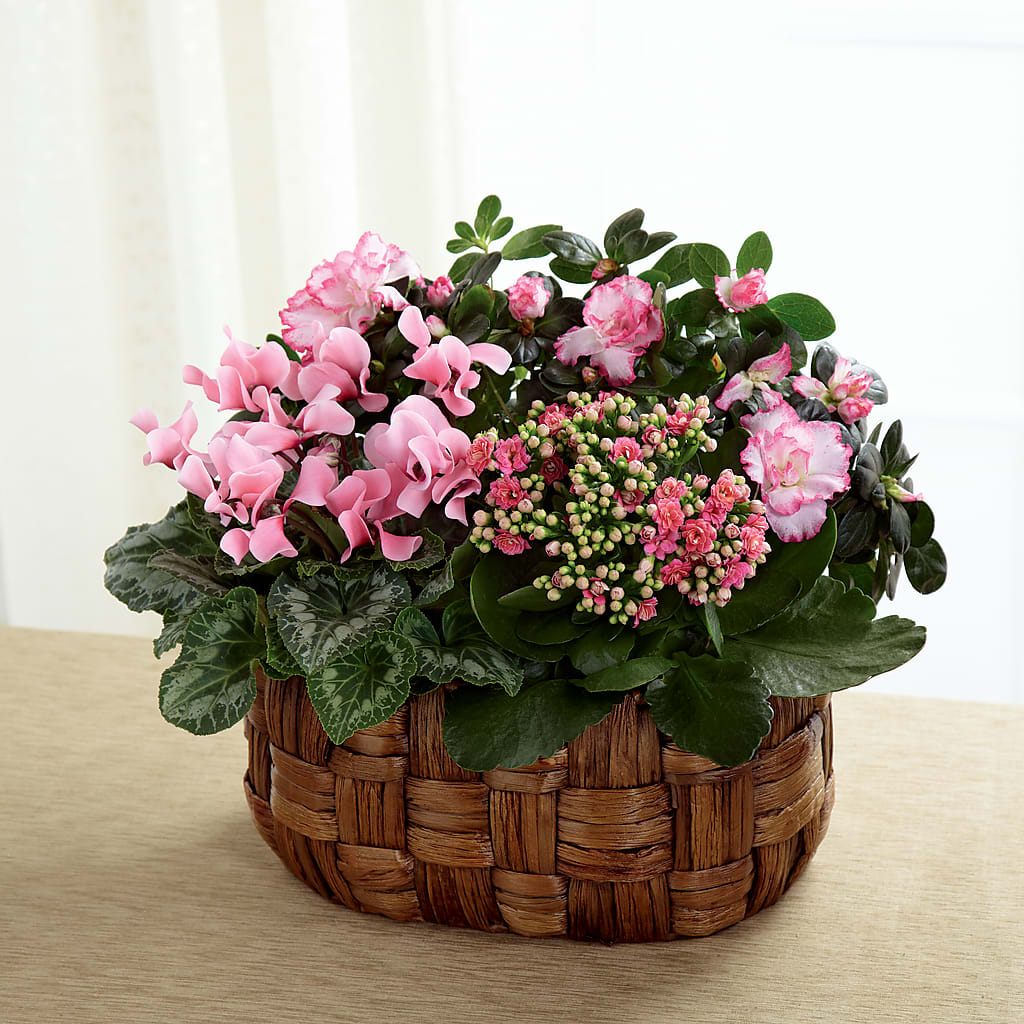Pink Assortment – CHET & LEONA'S FLORAL SHOP, Milwaukee WI