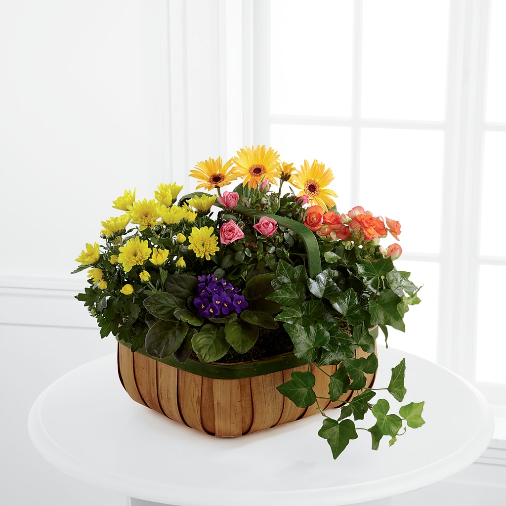 Gentle Blossoms Basket – CHET & LEONA'S FLORAL SHOP, Milwaukee WI