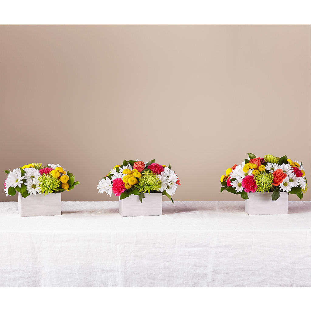 Sorbet Bouquet – CHET & LEONA'S FLORAL SHOP, Milwaukee WI