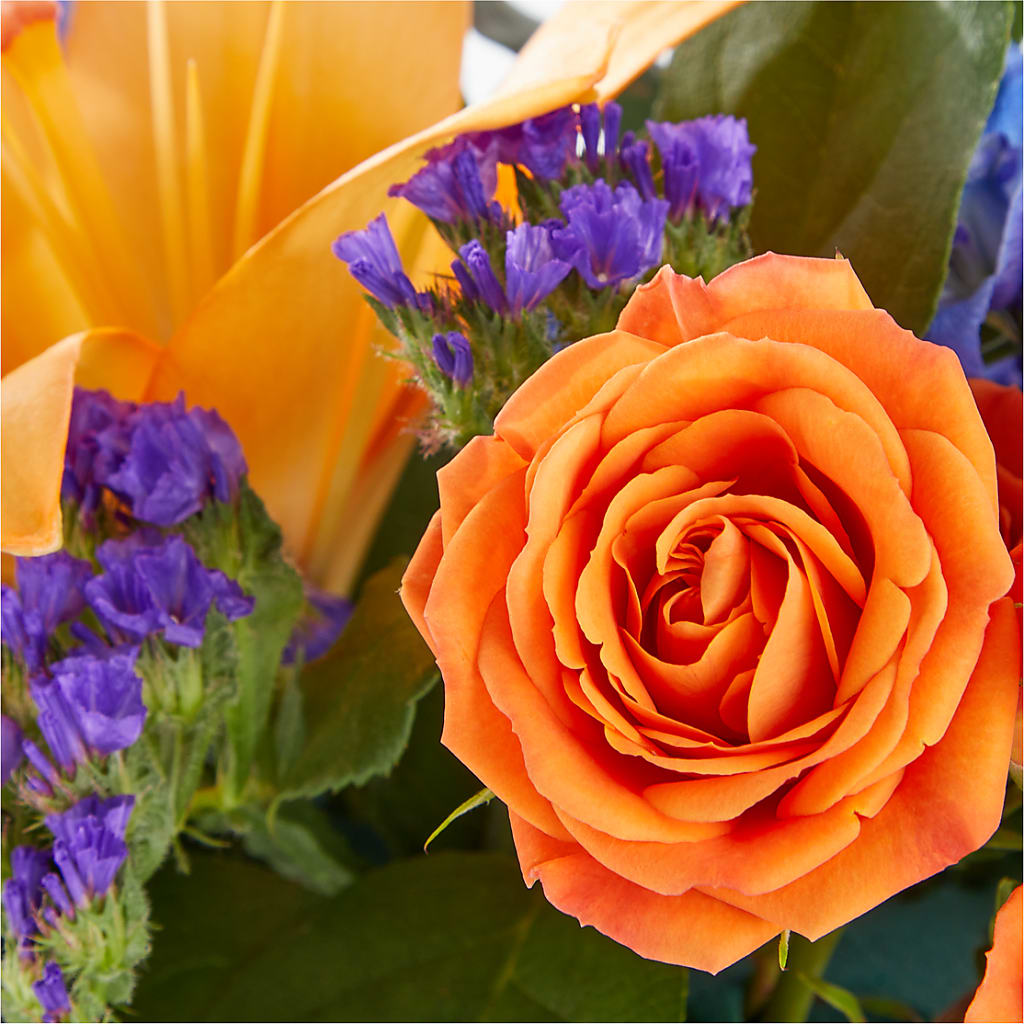 Radiant Citrus Box Bouquet – CHET & LEONA'S FLORAL SHOP, Milwaukee WI