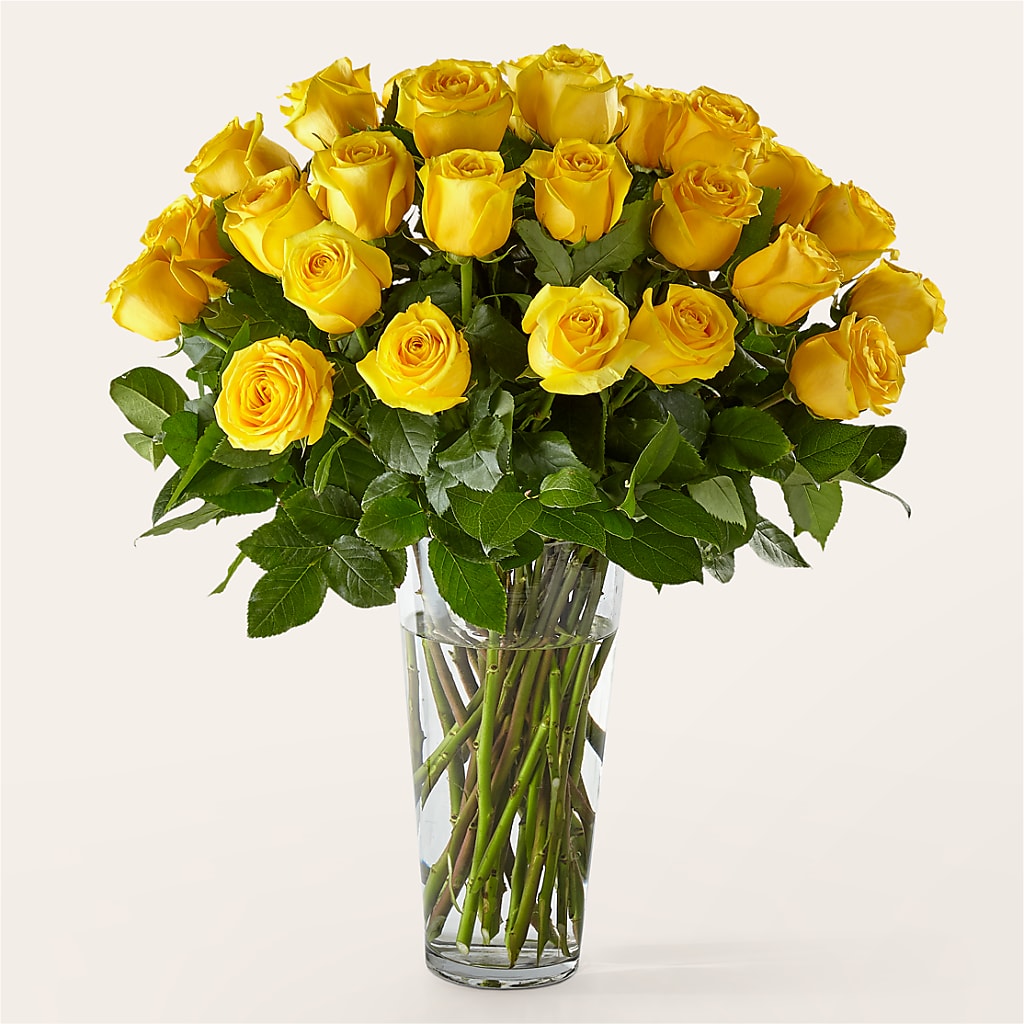 Long Stem Yellow Rose Bouquet – CHET & LEONA'S FLORAL SHOP, Milwaukee WI