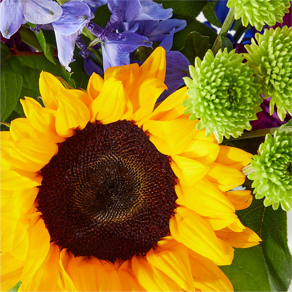 Catching Rays Bouquet – CHET & LEONA'S FLORAL SHOP, Milwaukee WI
