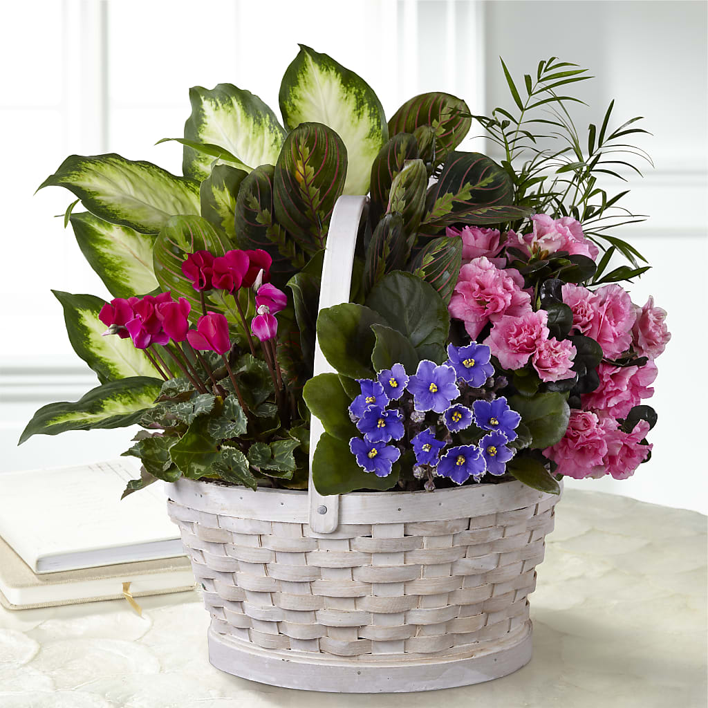Peaceful Garden Planter – CHET & LEONA'S FLORAL SHOP, Milwaukee WI
