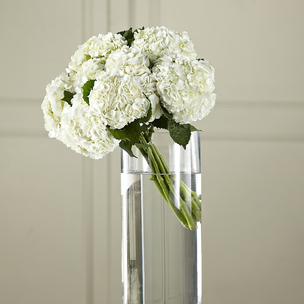 White Hydrangea Hand-Tied Bouquet – CHET & LEONA'S FLORAL SHOP, Milwaukee WI