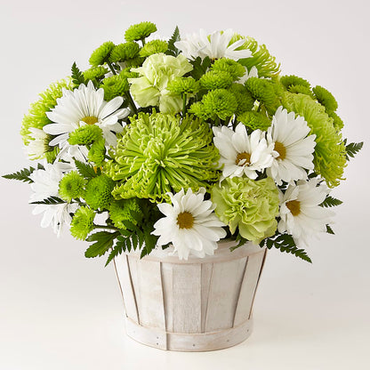 Lucky Charm Basket (Standard) – CHET & LEONA'S FLORAL SHOP, Milwaukee WI