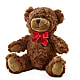 Adorable Plush Bear – CHET & LEONA'S FLORAL SHOP, Milwaukee WI