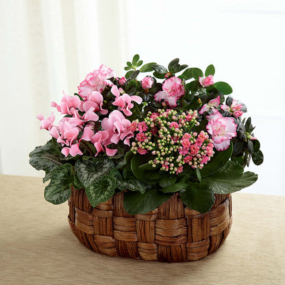 Pink Assortment – CHET & LEONA'S FLORAL SHOP, Milwaukee WI
