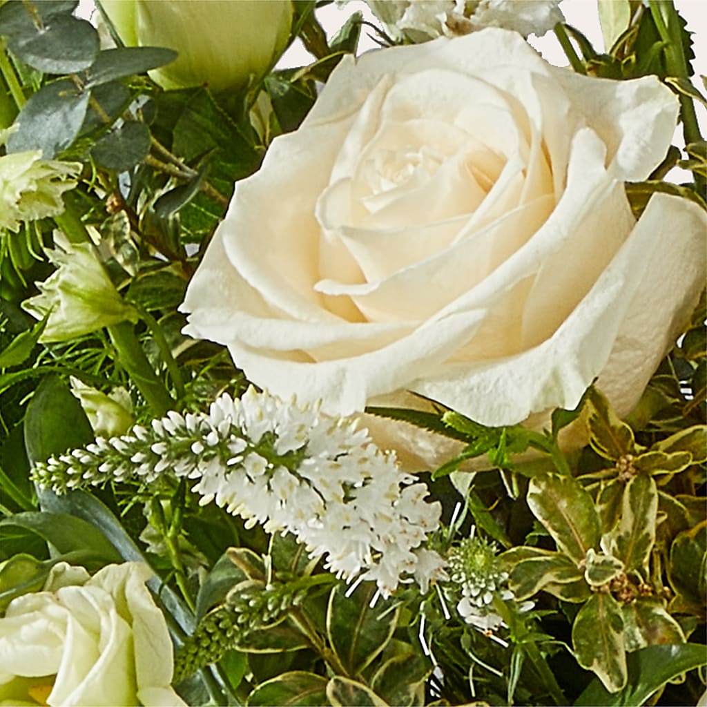 Cashmere Bouquet – CHET & LEONA'S FLORAL SHOP, Milwaukee WI
