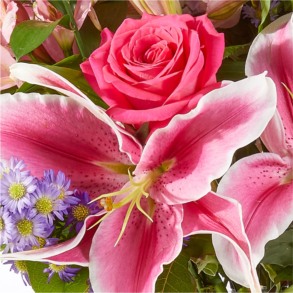 Written in the Stars Bouquet – CHET & LEONA'S FLORAL SHOP, Milwaukee WI