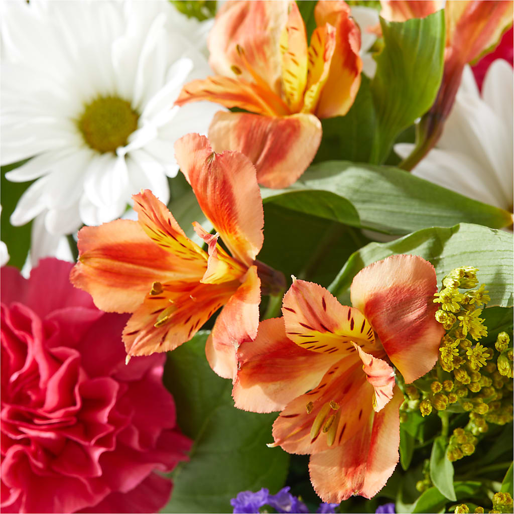 Oopsie Daisy Box Bouquet – CHET & LEONA'S FLORAL SHOP, Milwaukee WI