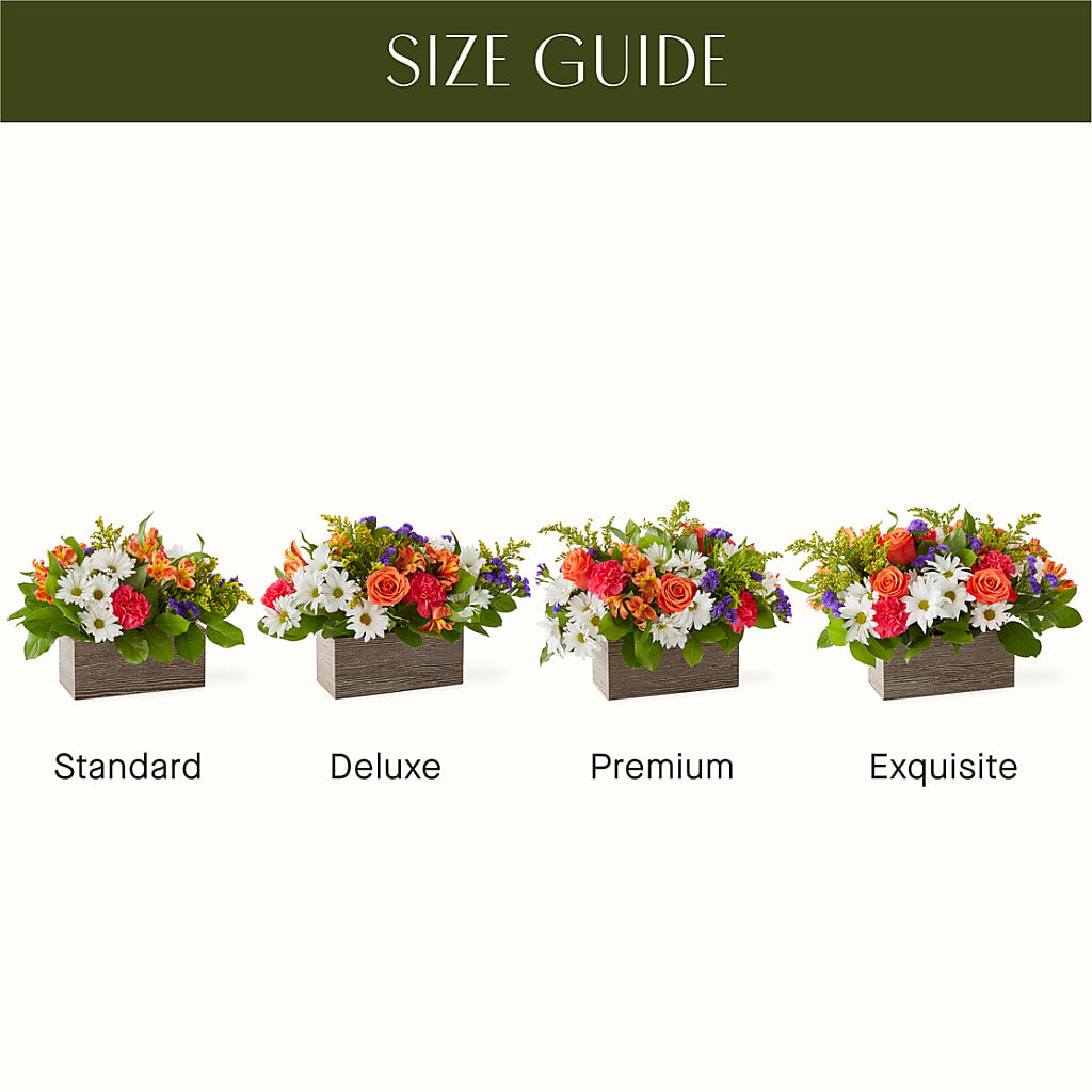 Oopsie Daisy Box Bouquet – CHET & LEONA'S FLORAL SHOP, Milwaukee WI