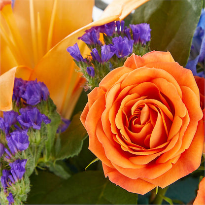 Radiant Citrus Box Bouquet – CHET & LEONA'S FLORAL SHOP, Milwaukee WI