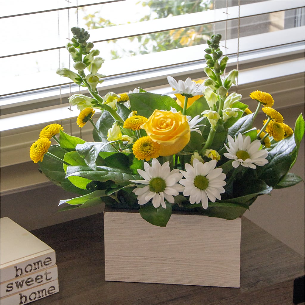 Sun Salutation Box Bouquet – CHET & LEONA'S FLORAL SHOP, Milwaukee WI