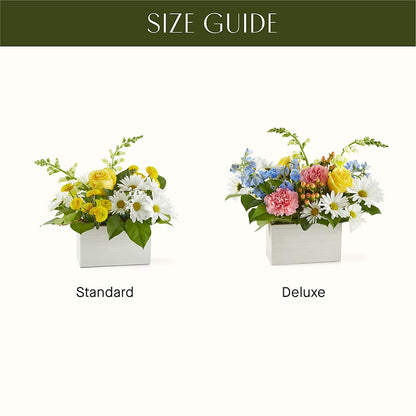 Sun Salutation Box Bouquet – CHET & LEONA'S FLORAL SHOP, Milwaukee WI
