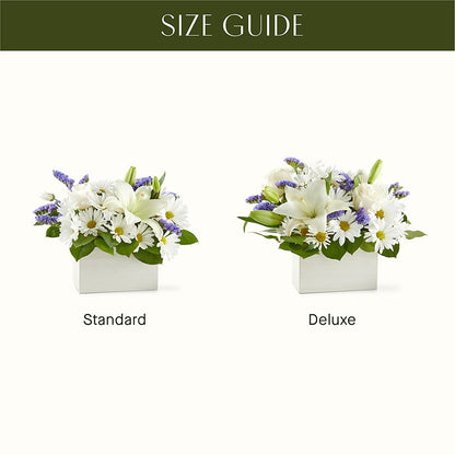 Beyond Blue Box Bouquet – CHET & LEONA'S FLORAL SHOP, Milwaukee WI
