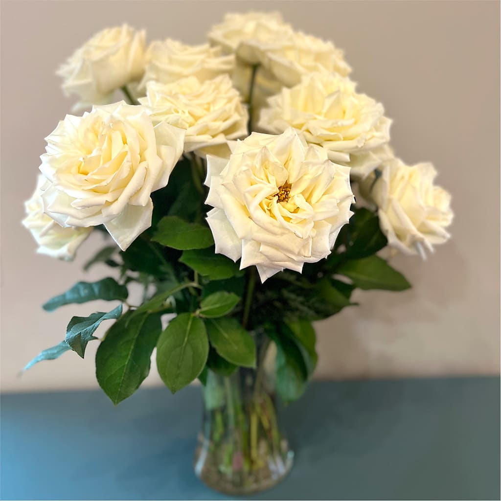 Long Stem Yellow Rose Bouquet – CHET & LEONA'S FLORAL SHOP, Milwaukee WI