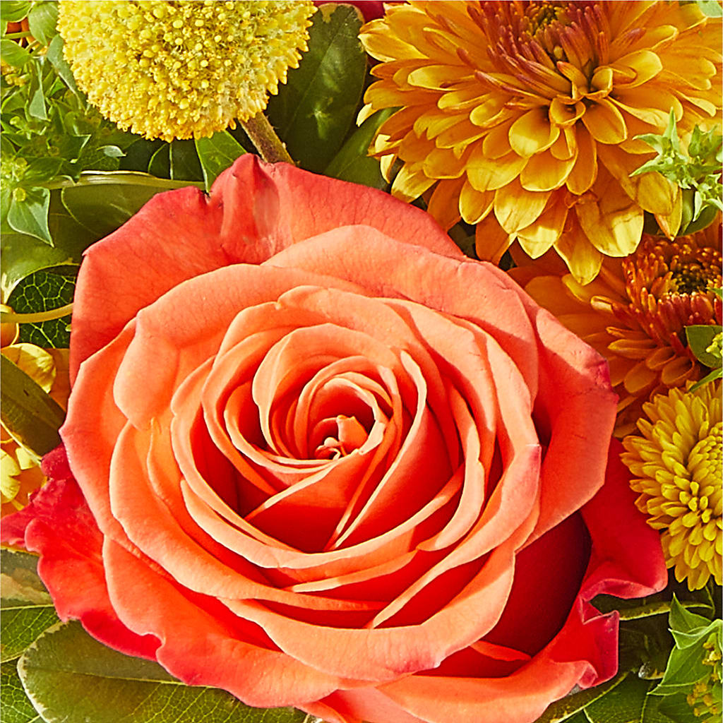 Gourdgeous Pumpkin – CHET & LEONA'S FLORAL SHOP, Milwaukee WI