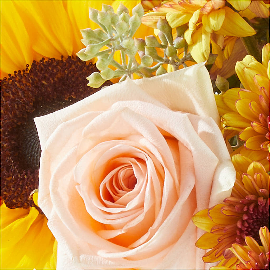 Pumpkin to Talk About Bouquet – CHET & LEONA'S FLORAL SHOP, Milwaukee WI