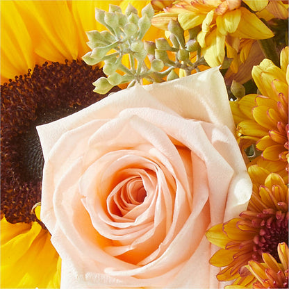 Pumpkin to Talk About Bouquet – CHET & LEONA'S FLORAL SHOP, Milwaukee WI