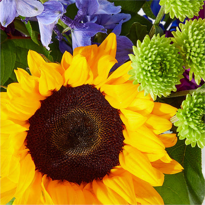 Catching Rays Bouquet – CHET & LEONA'S FLORAL SHOP, Milwaukee WI