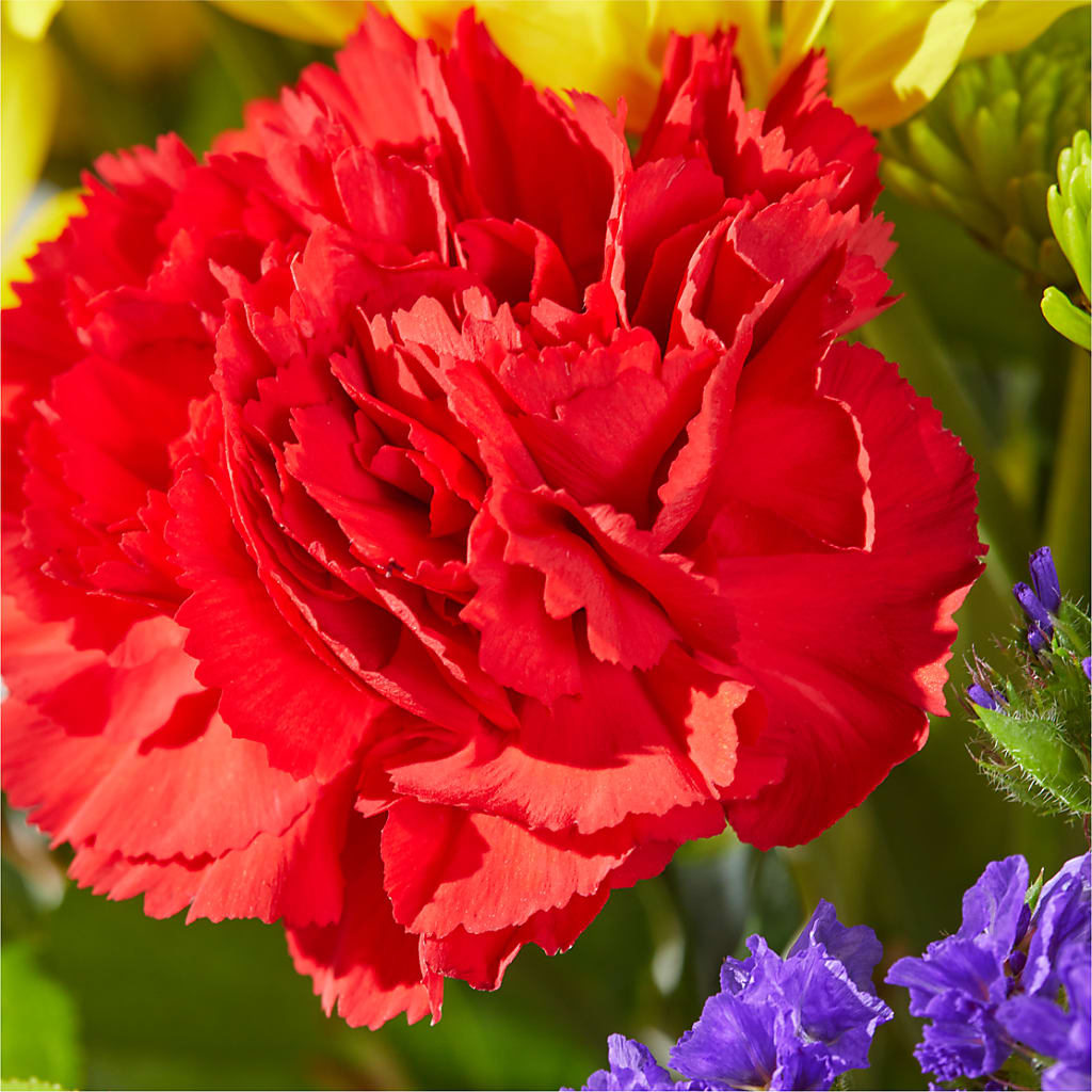 Brighter Days Bouquet – CHET & LEONA'S FLORAL SHOP, Milwaukee WI