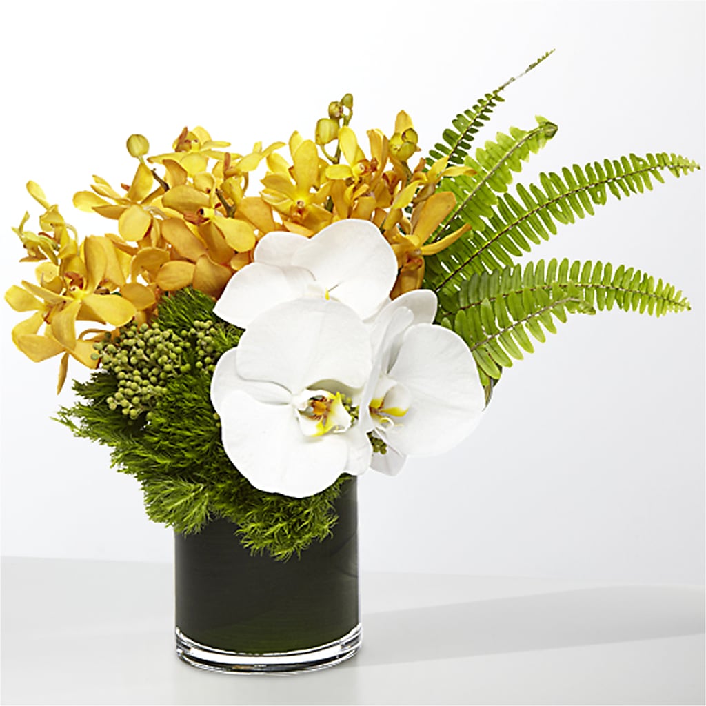 The Tropics – CHET & LEONA'S FLORAL SHOP, Milwaukee WI