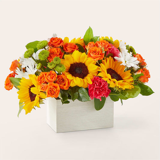 Sun-drenched Blooms Box Bouquet – CHET & LEONA'S FLORAL SHOP, Milwaukee WI