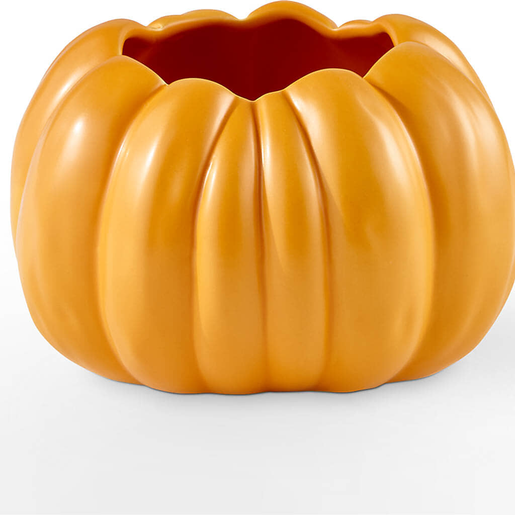 Golden Gourd Pumpkin Bouquet – CHET & LEONA'S FLORAL SHOP, Milwaukee WI