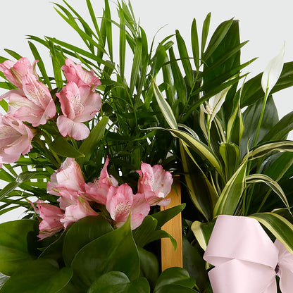 Living Spirit Dishgarden – CHET & LEONA'S FLORAL SHOP, Milwaukee WI