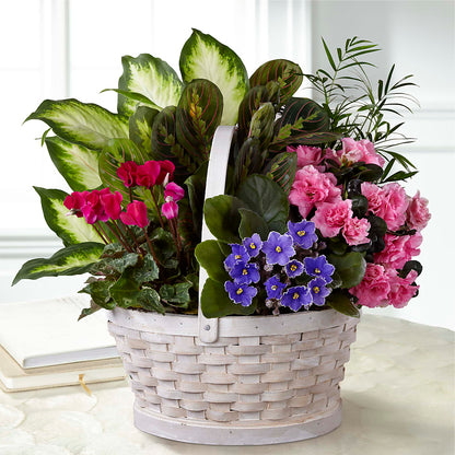 Peaceful Garden Planter – CHET & LEONA'S FLORAL SHOP, Milwaukee WI
