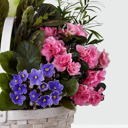 Peaceful Garden Planter – CHET & LEONA'S FLORAL SHOP, Milwaukee WI