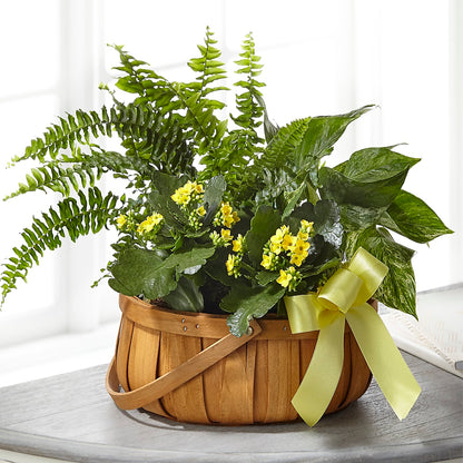 Always Dear Dishgarden – CHET & LEONA'S FLORAL SHOP, Milwaukee WI