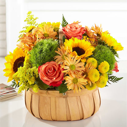 Harvest Sunflower Basket – CHET & LEONA'S FLORAL SHOP, Milwaukee WI