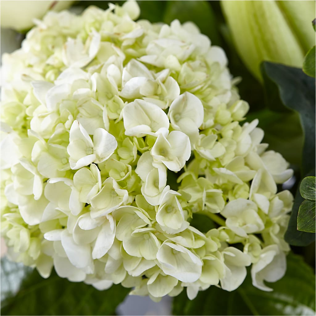 Classic Ivory – A Florist Original – CHET & LEONA'S FLORAL SHOP, Milwaukee WI