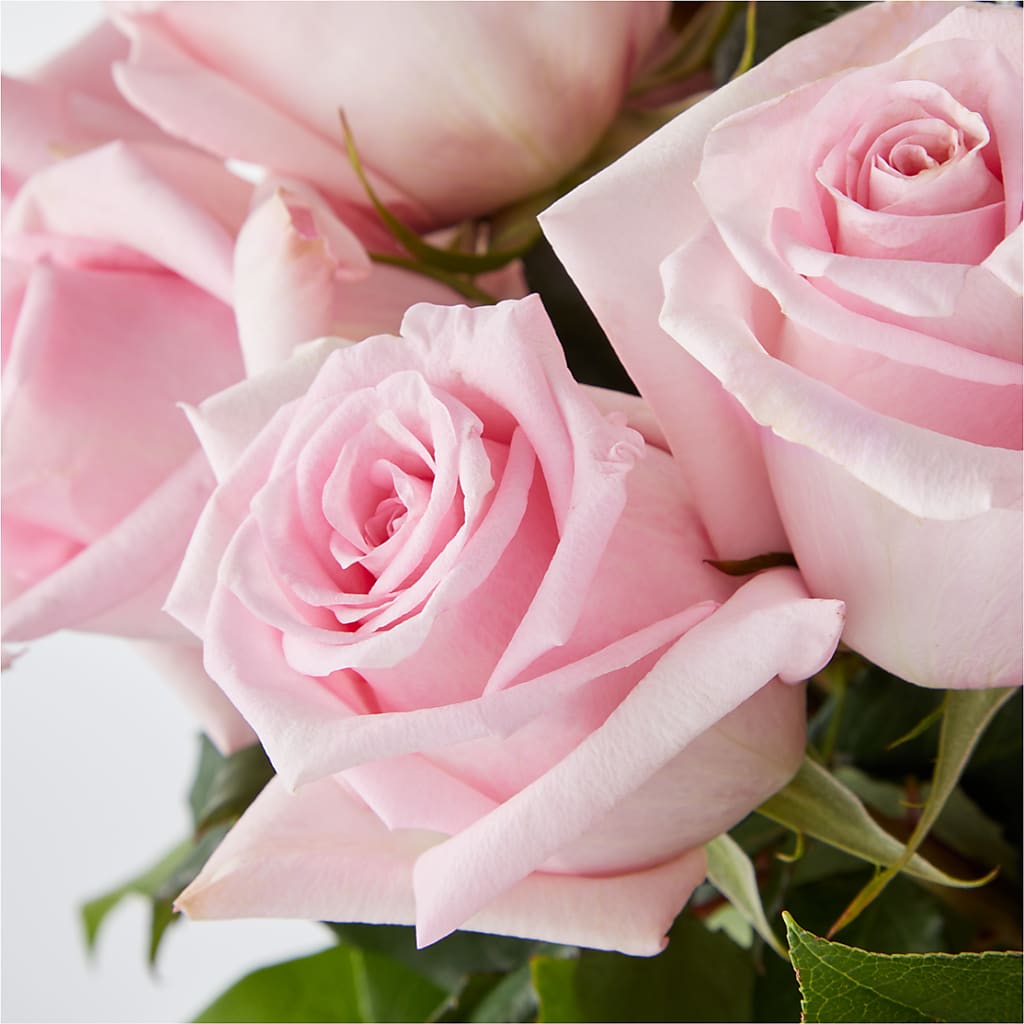 Picture Perfect Pink Rose Bouquet – CHET & LEONA'S FLORAL SHOP, Milwaukee WI