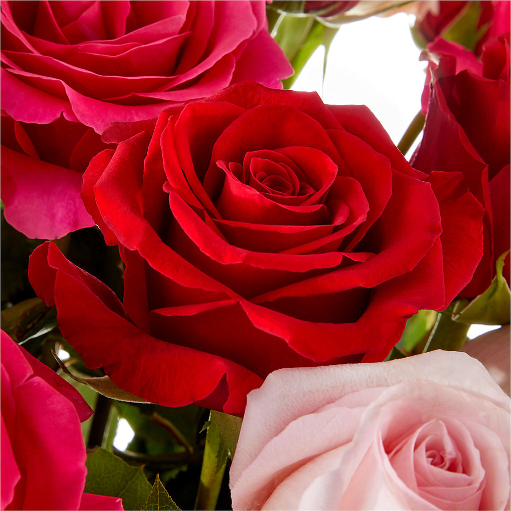 Love Notes Rose Bouquet – CHET & LEONA'S FLORAL SHOP, Milwaukee WI