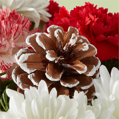 Candy Cane Lane Bouquet – CHET & LEONA'S FLORAL SHOP, Milwaukee WI