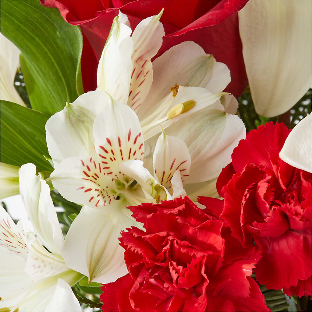 Holiday Season Bouquet – CHET & LEONA'S FLORAL SHOP, Milwaukee WI