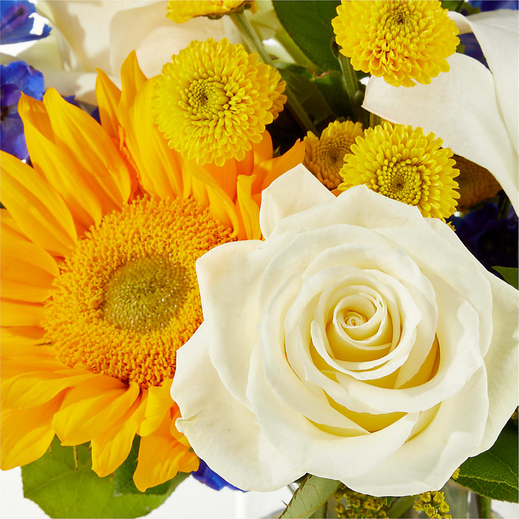 Stargazing Bouquet – CHET & LEONA'S FLORAL SHOP, Milwaukee WI