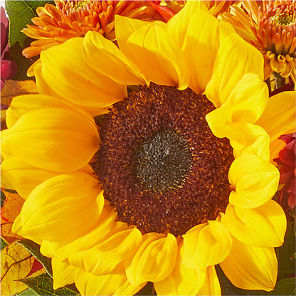 Sunny Side Bouquet – CHET & LEONA'S FLORAL SHOP, Milwaukee WI