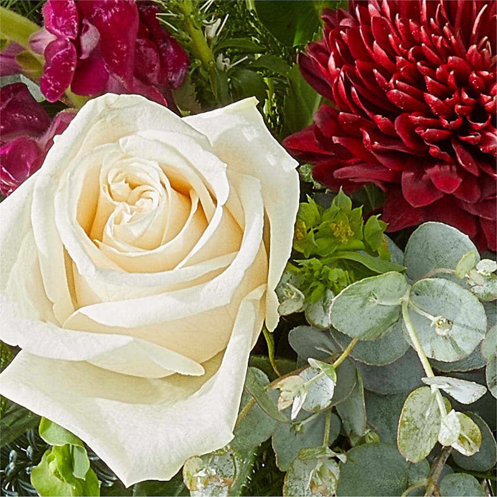 Cranberry Fizz Bouquet – CHET & LEONA'S FLORAL SHOP, Milwaukee WI