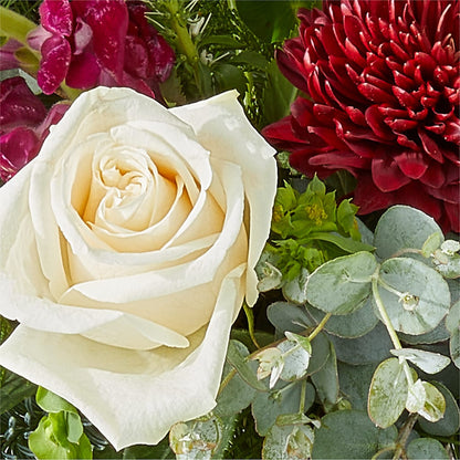 Cranberry Fizz Bouquet – CHET & LEONA'S FLORAL SHOP, Milwaukee WI