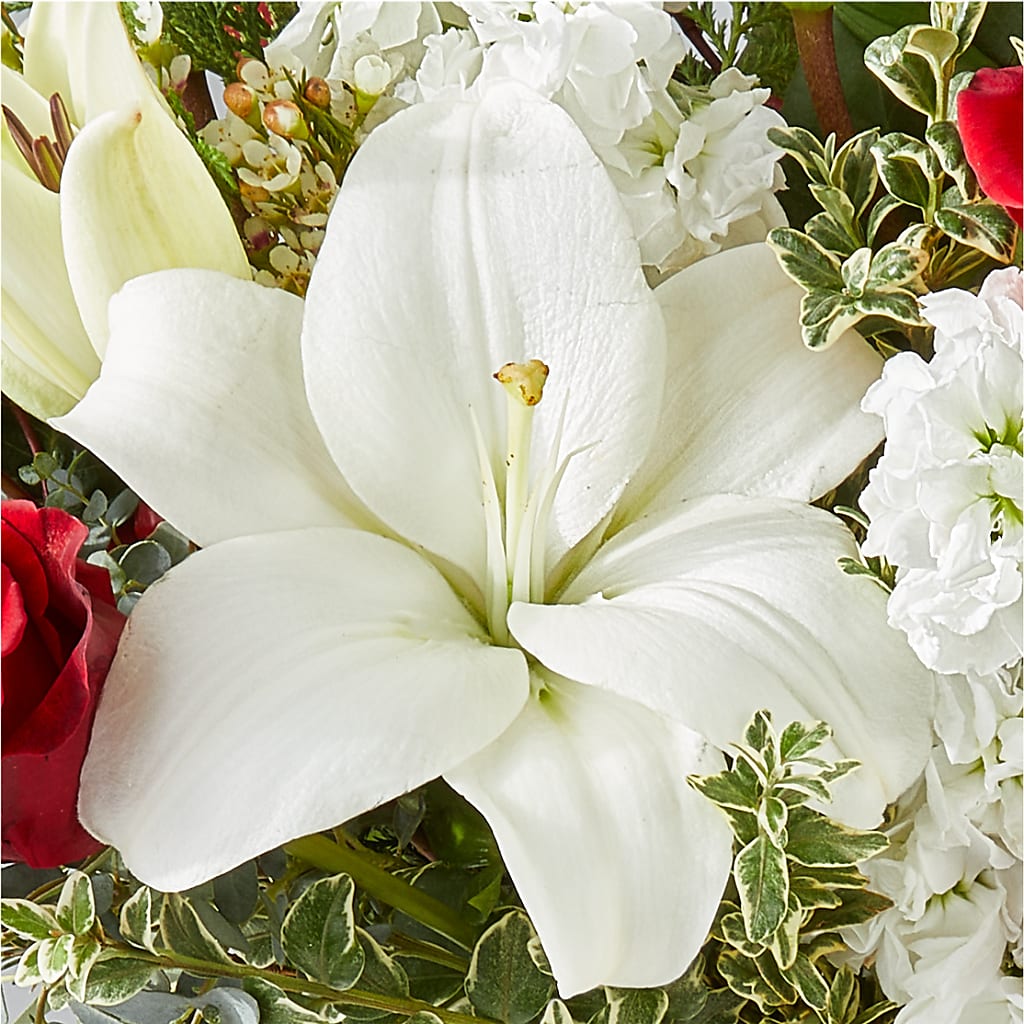 Twinkle Lights Bouquet – CHET & LEONA'S FLORAL SHOP, Milwaukee WI