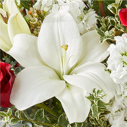 Twinkle Lights Bouquet – CHET & LEONA'S FLORAL SHOP, Milwaukee WI