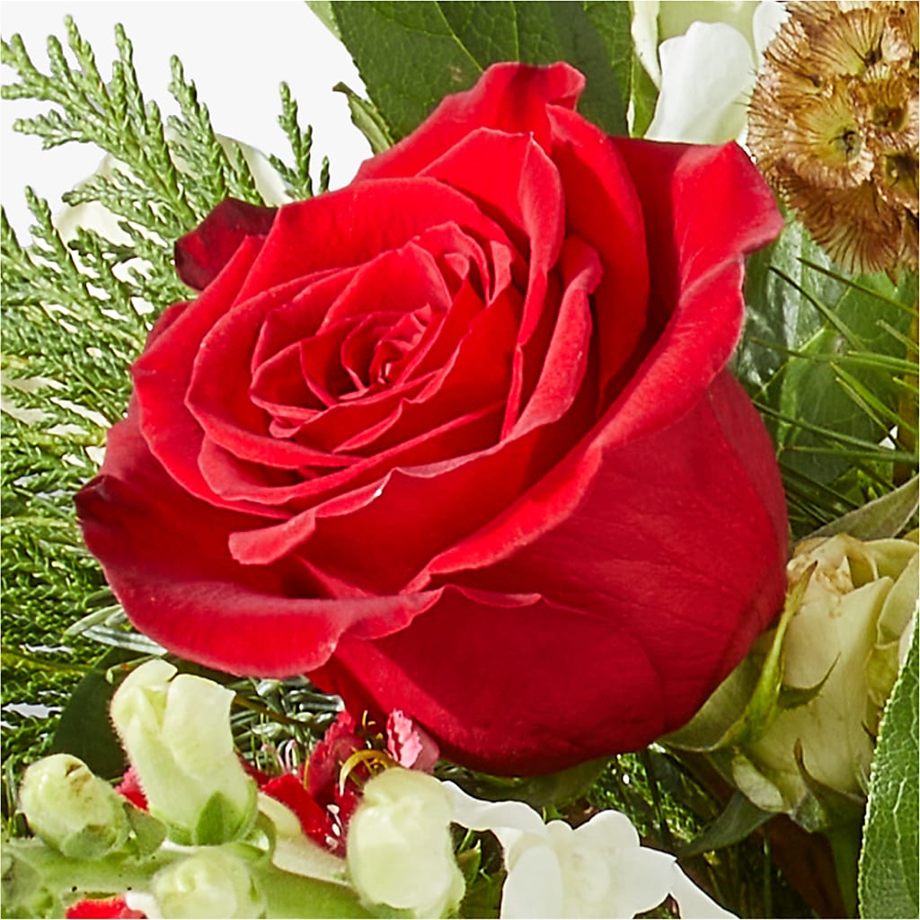Deck the Halls Bouquet – CHET & LEONA'S FLORAL SHOP, Milwaukee WI