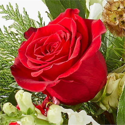 Deck the Halls Bouquet – CHET & LEONA'S FLORAL SHOP, Milwaukee WI