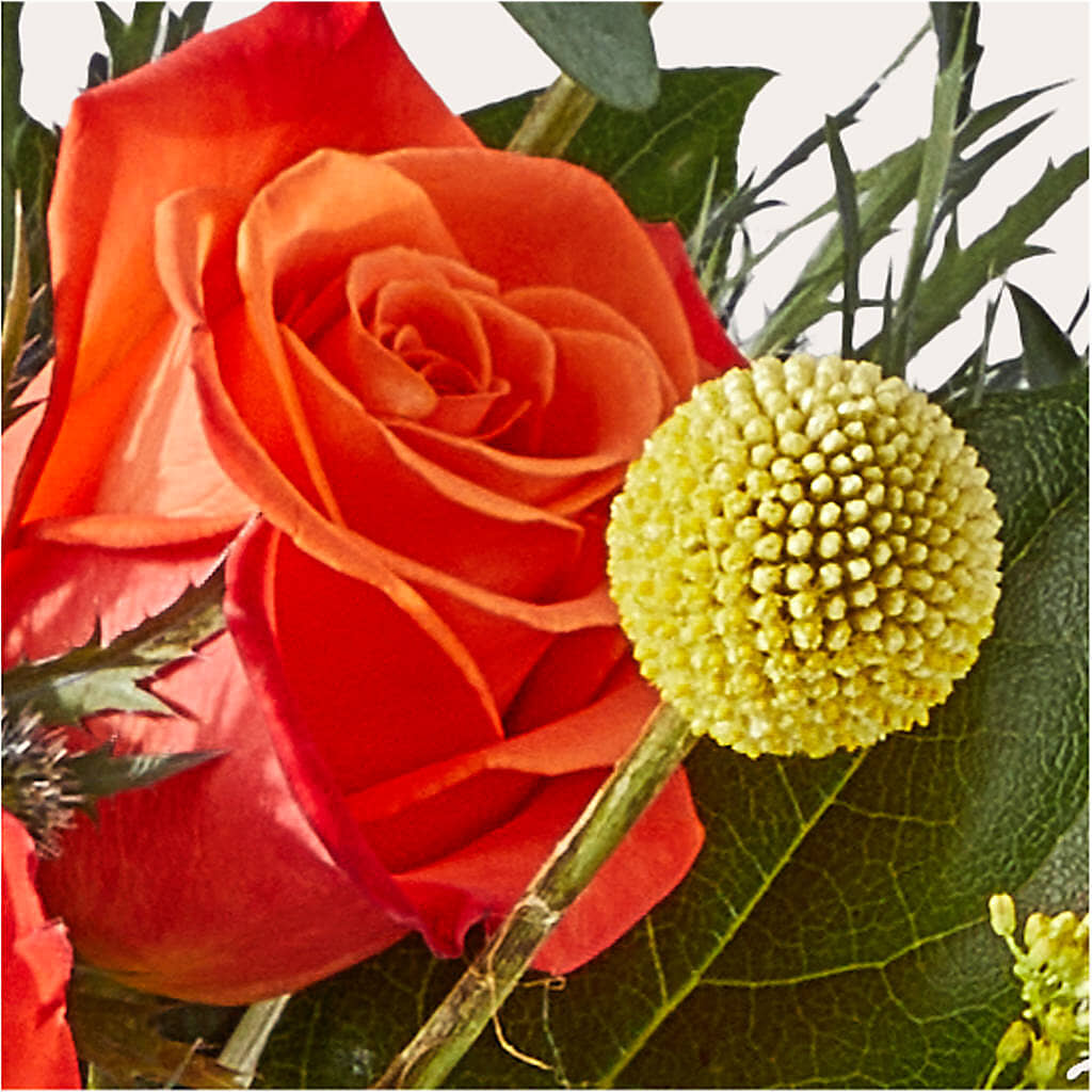 Disco Bouquet – CHET & LEONA'S FLORAL SHOP, Milwaukee WI