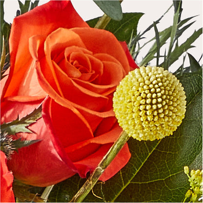 Disco Bouquet – CHET & LEONA'S FLORAL SHOP, Milwaukee WI