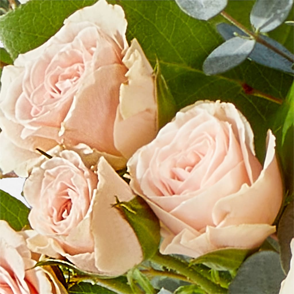 Inspired Bouquet – CHET & LEONA'S FLORAL SHOP, Milwaukee WI
