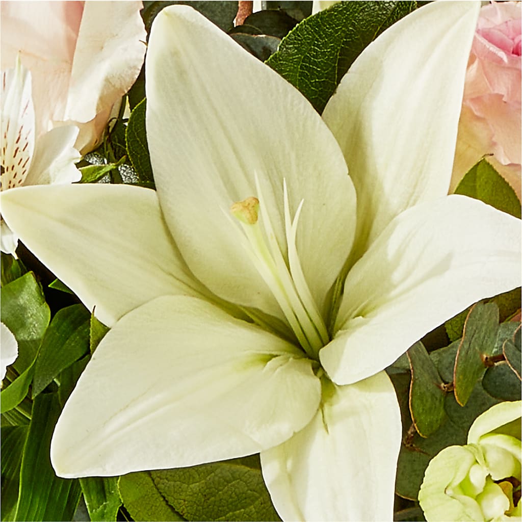 Ballet Slippers Bouquet – CHET & LEONA'S FLORAL SHOP, Milwaukee WI